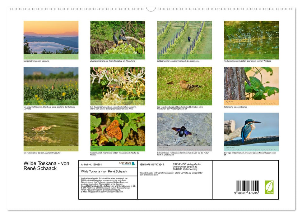 Wilde Toskana - von René Schaack (CALVENDO Premium Wandkalender 2026)