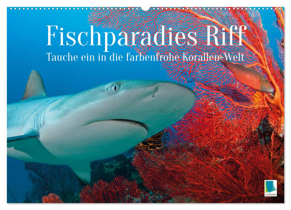 Fischparadies Riff (CALVENDO Wandkalender 2026)