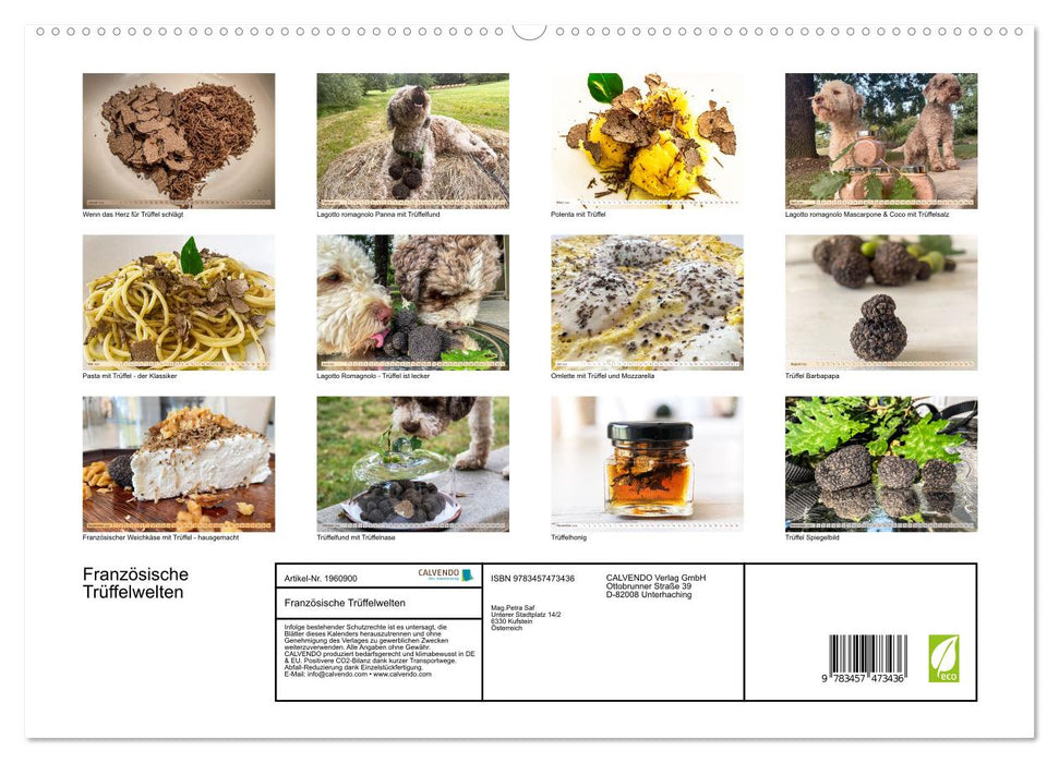 Französische Trüffelwelten (CALVENDO Premium Wandkalender 2026)