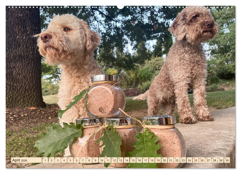 Französische Trüffelwelten (CALVENDO Premium Wandkalender 2026)