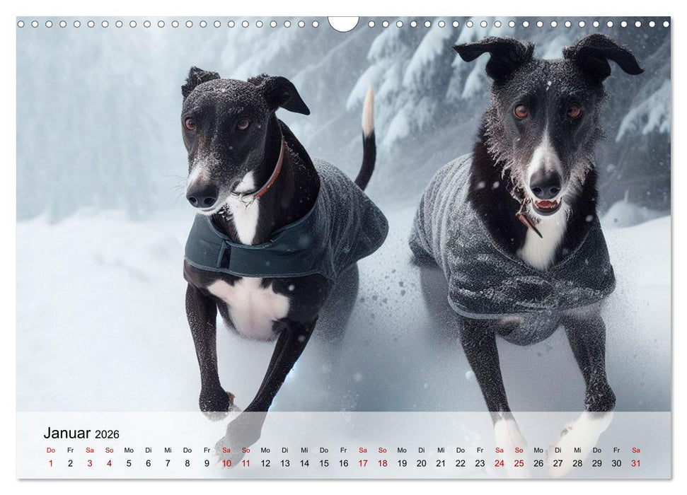 Black is beautiful (CALVENDO Wandkalender 2026)