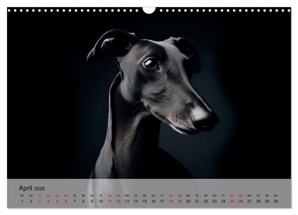 Black is beautiful (CALVENDO Wandkalender 2026)