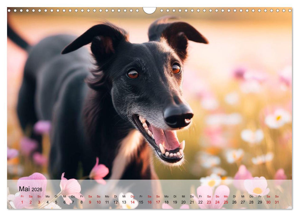 Black is beautiful (CALVENDO Wandkalender 2026)