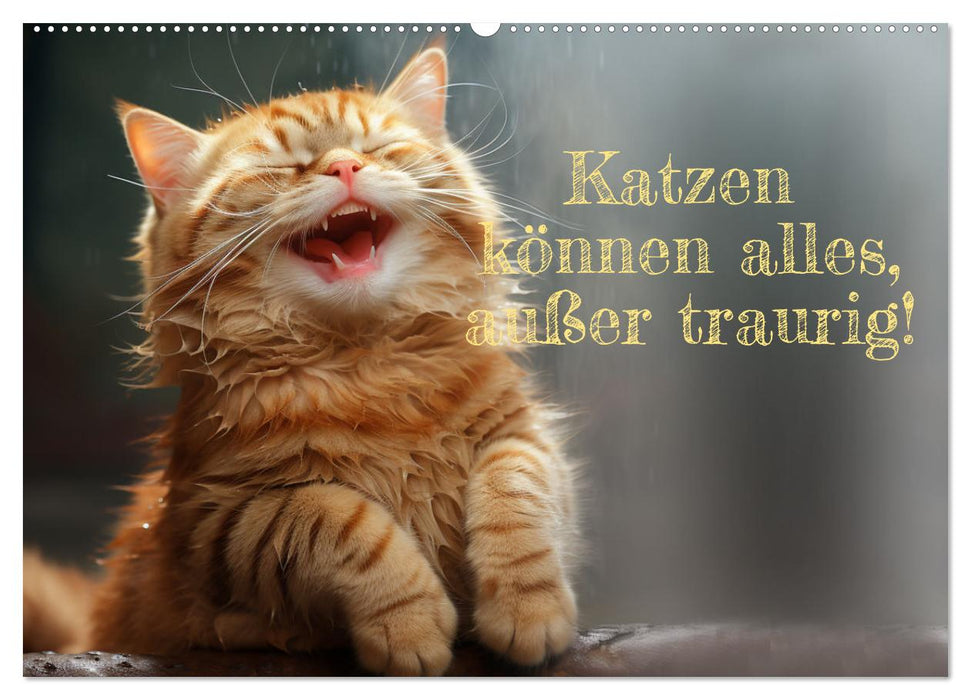 Katzen können alles, außer traurig. (CALVENDO Wandkalender 2026)