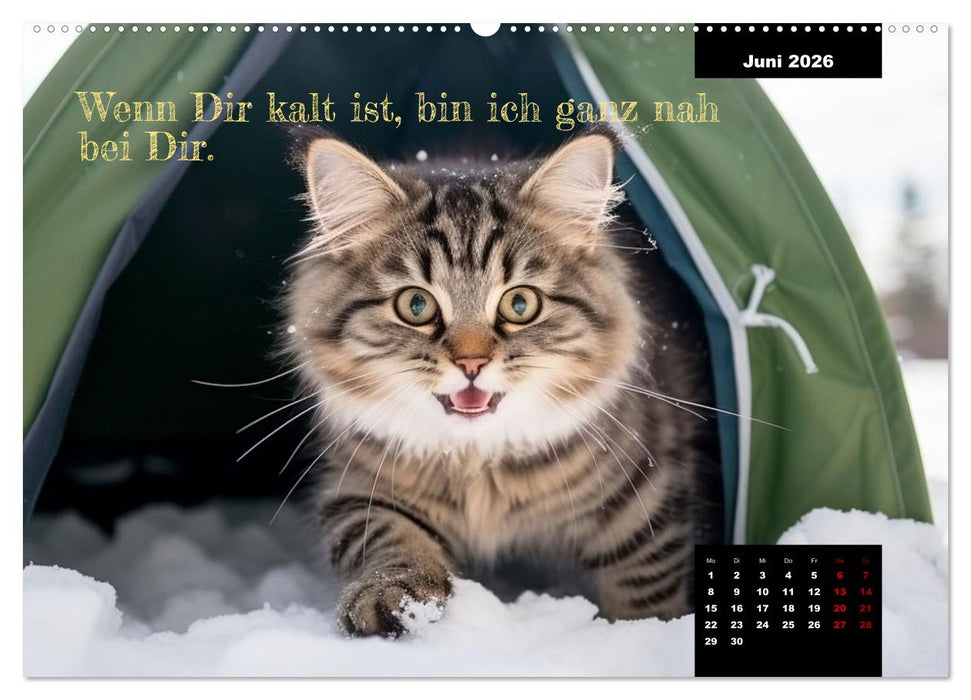 Katzen können alles, außer traurig. (CALVENDO Wandkalender 2026)