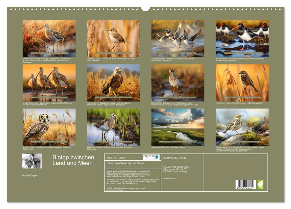 Biotop zwischen Land und Meer (CALVENDO Wandkalender 2026)