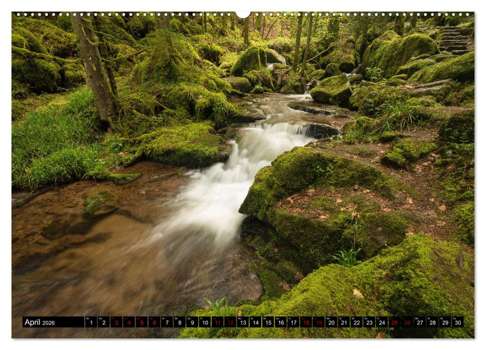 Wunderlandschaften (CALVENDO Premium Wandkalender 2026)