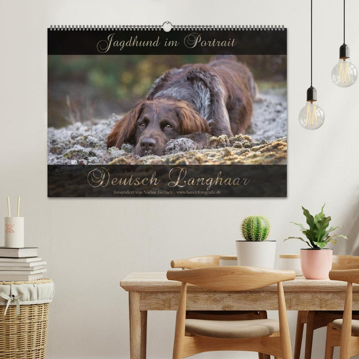 Jagdhund im Portrait - Deutsch Langhaar (CALVENDO Wandkalender 2026)