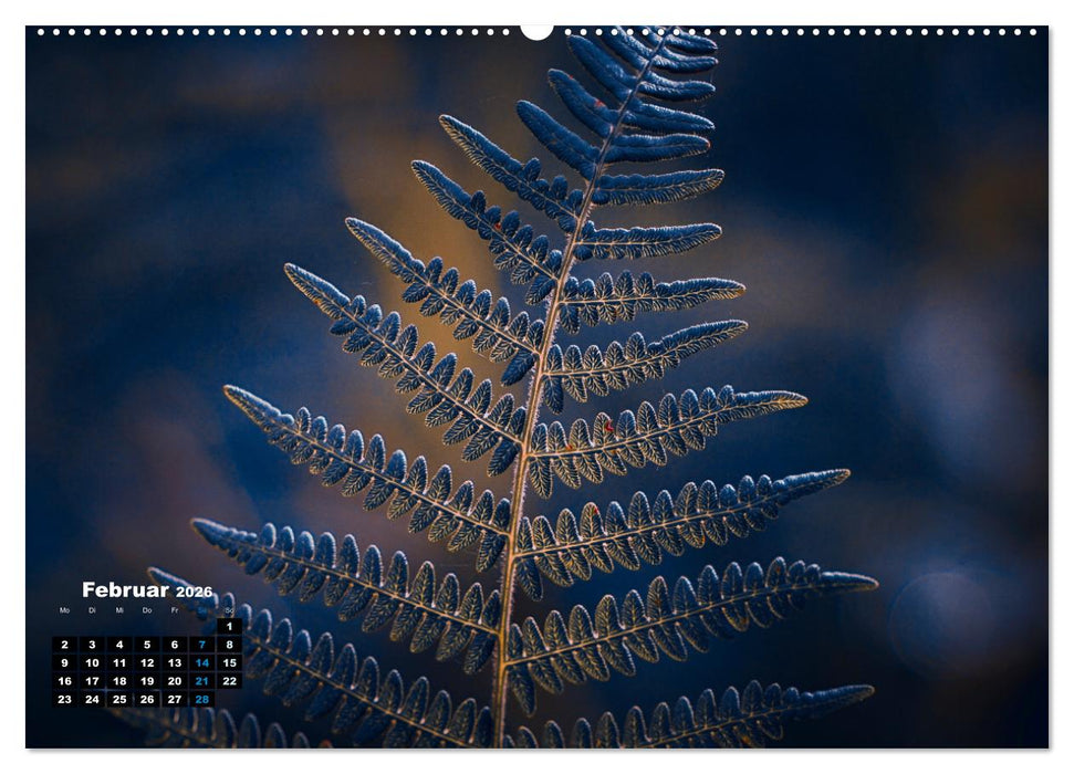 Abstrakte Natur (CALVENDO Wandkalender 2026)