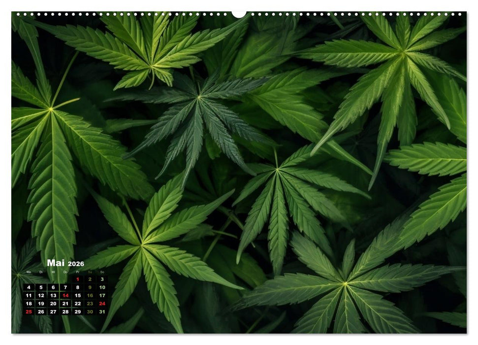 Abstrakte Natur (CALVENDO Wandkalender 2026)