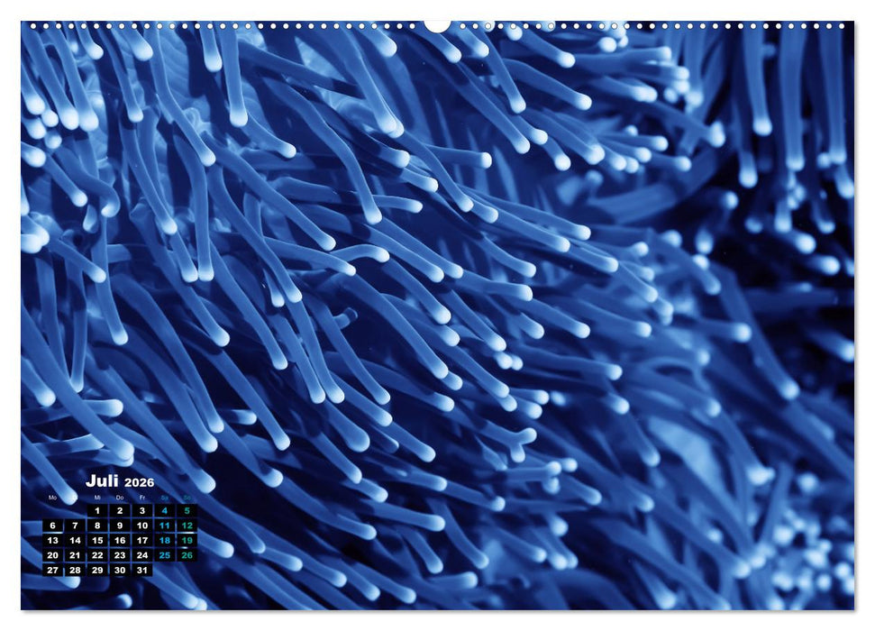 Abstrakte Natur (CALVENDO Premium Wandkalender 2026)