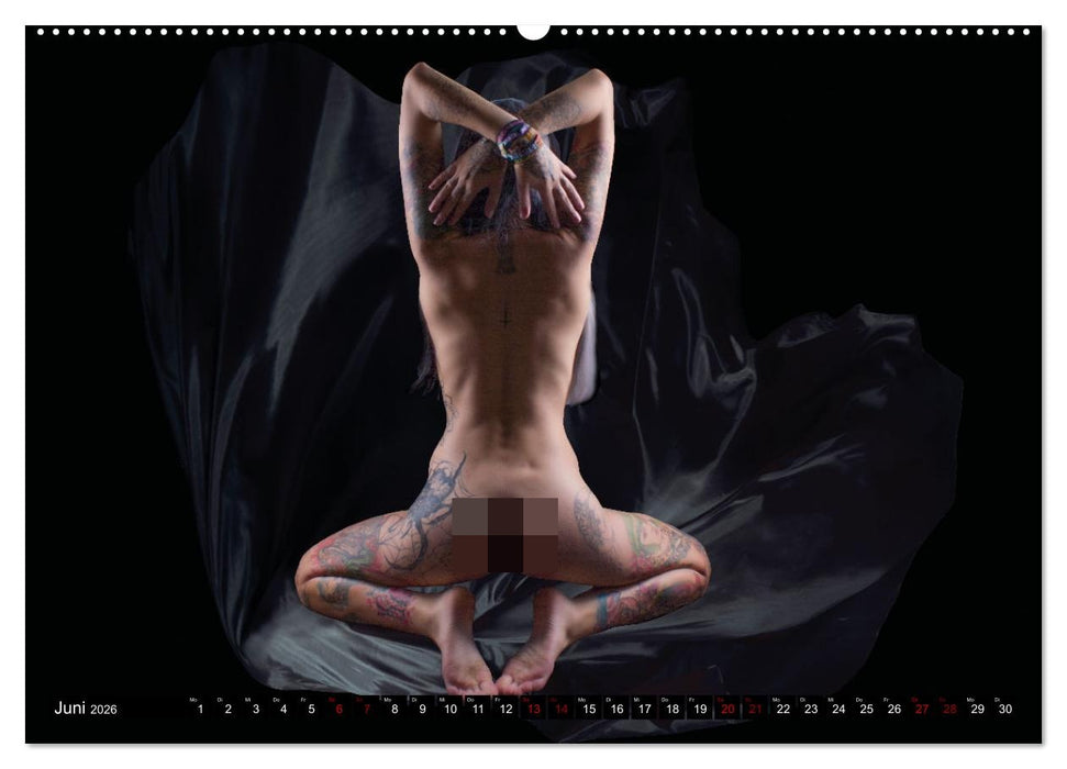 Elegante Intimität (CALVENDO Premium Wandkalender 2026)