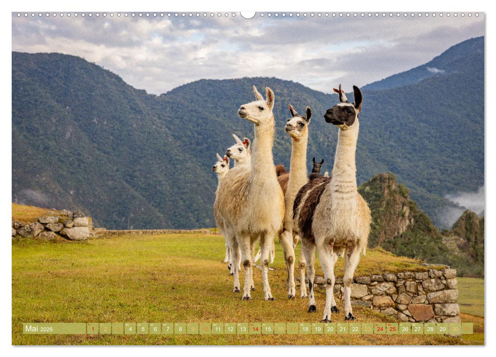 Peru - Bunte Vielfalt von Machu Picchu bis zur Atacama Wüste (CALVENDO Wandkalender 2026)