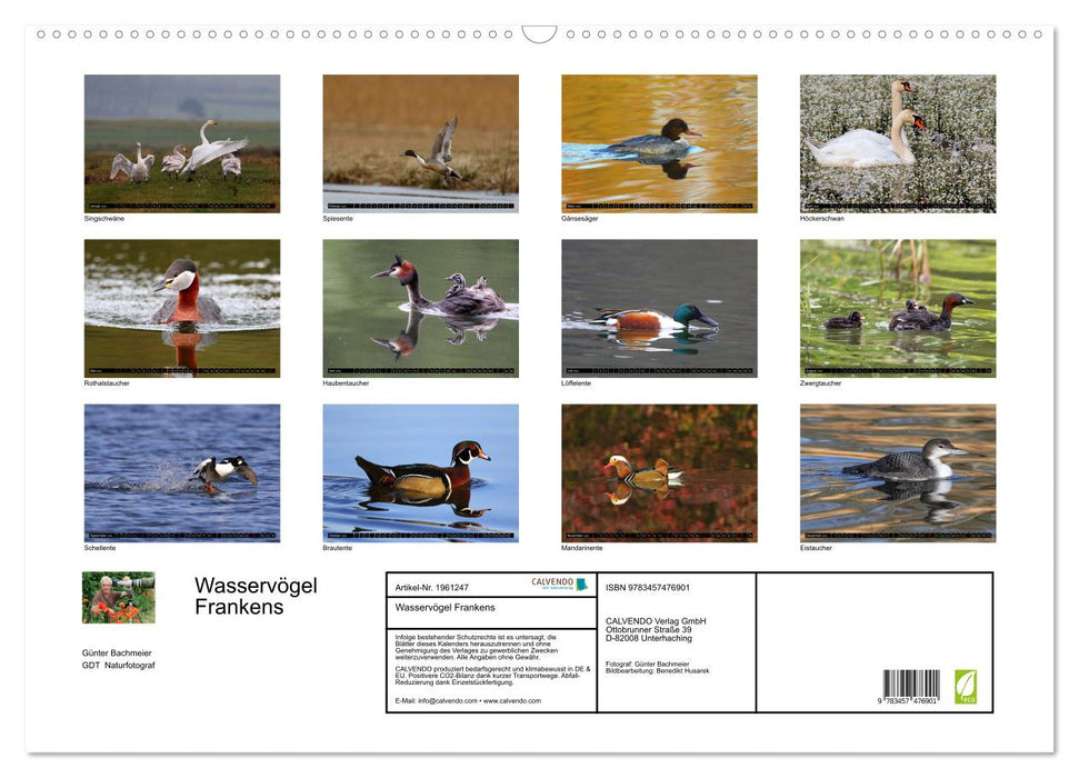 Wasservögel Frankens (CALVENDO Wandkalender 2026)