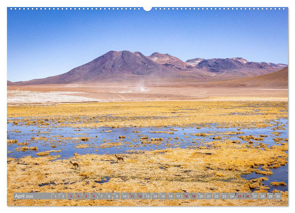 Chile - Südamerikas Geheimtipp im Farbrausch (CALVENDO Premium Wandkalender 2026)