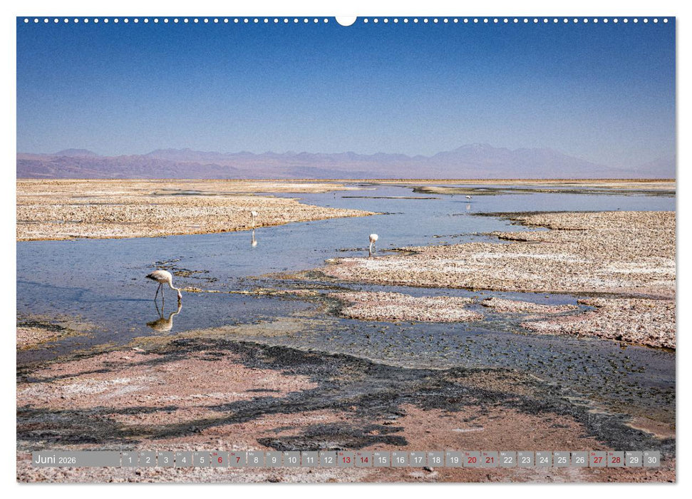 Chile - Südamerikas Geheimtipp im Farbrausch (CALVENDO Premium Wandkalender 2026)