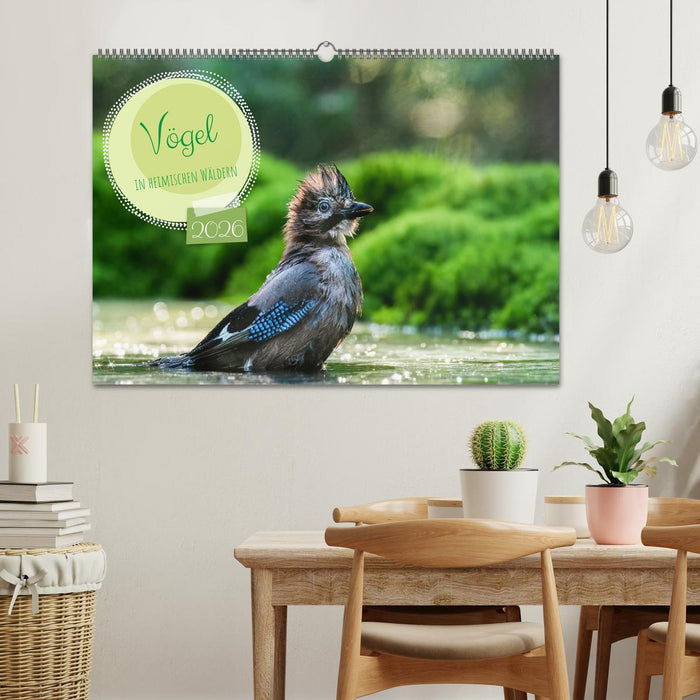 Vögel in heimischen Wäldern (CALVENDO Wandkalender 2026)