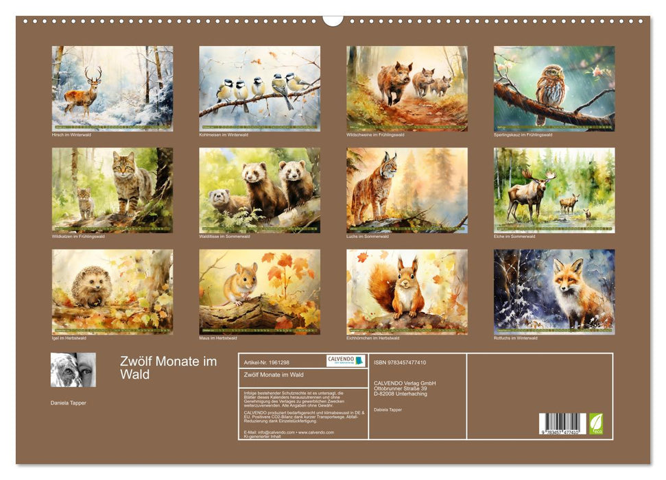 Zwölf Monate im Wald (CALVENDO Wandkalender 2026)