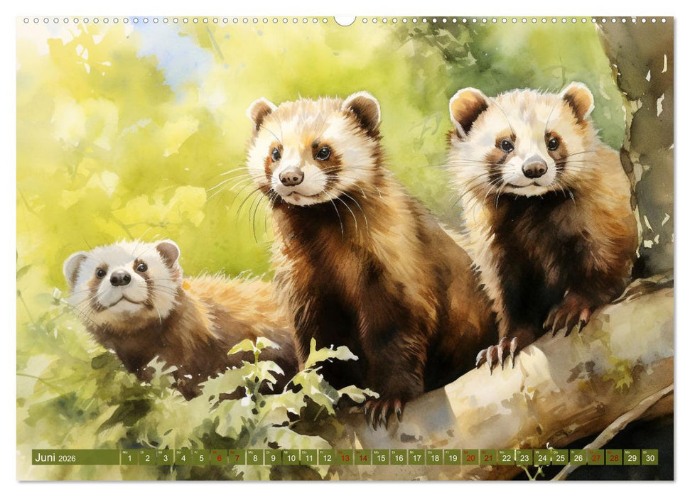 Zwölf Monate im Wald (CALVENDO Wandkalender 2026)