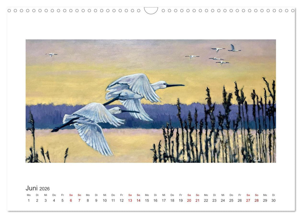 Auf leichten Schwingen - Zugvögel (CALVENDO Wandkalender 2026)