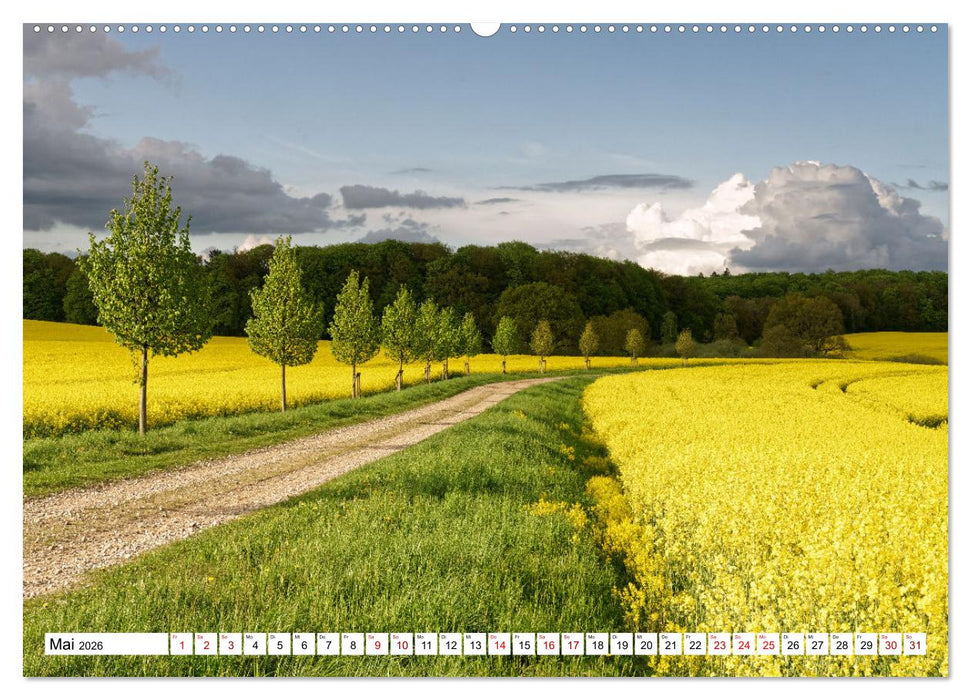 Unser schönes Mecklenburg (CALVENDO Wandkalender 2026)