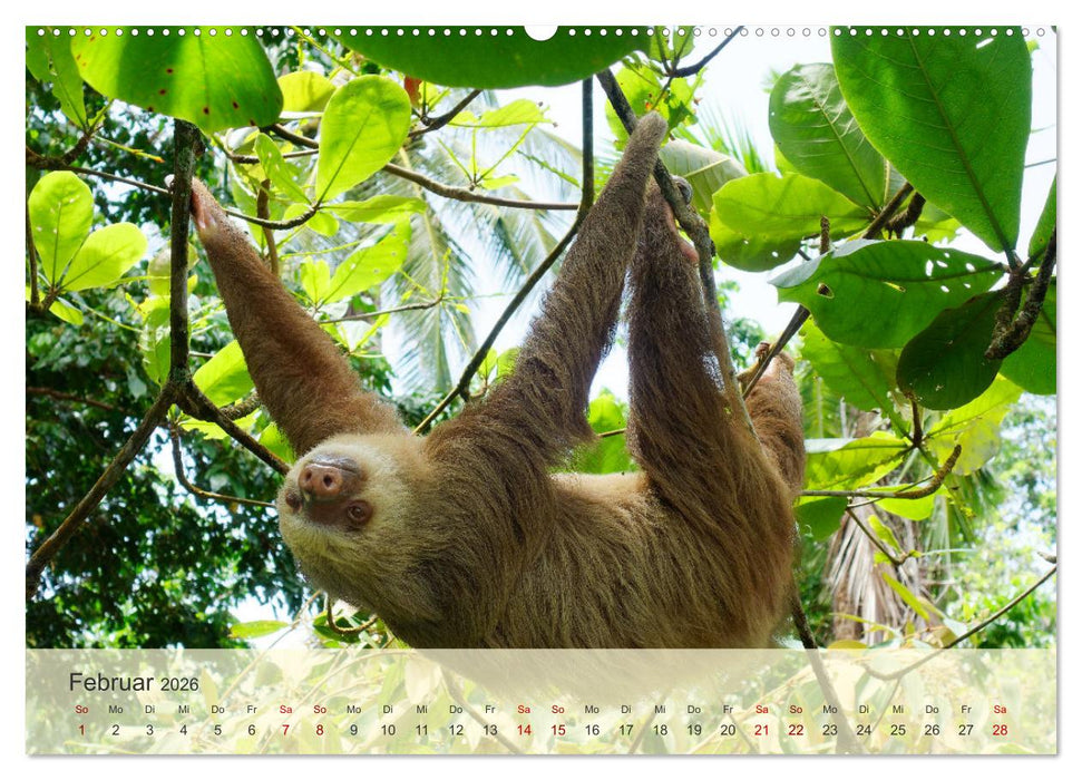 Bekanntes und Unbekanntes Costa Rica (CALVENDO Wandkalender 2026)