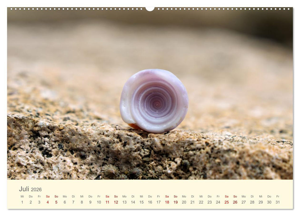 Traumhafte Seychellen (CALVENDO Premium Wandkalender 2026)