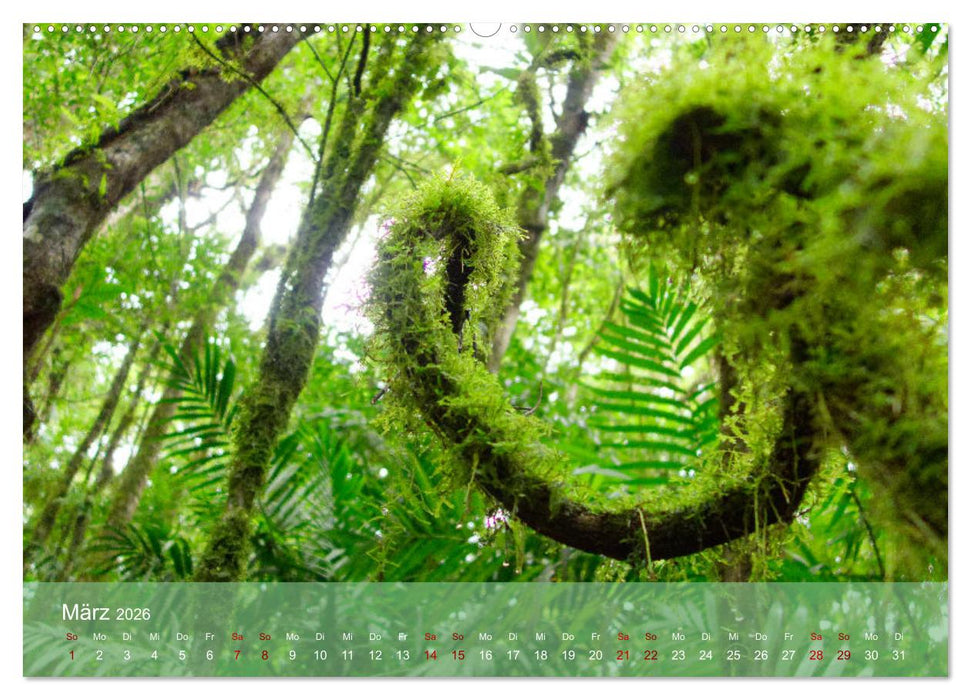 Entdecke Nicaragua (CALVENDO Wandkalender 2026)