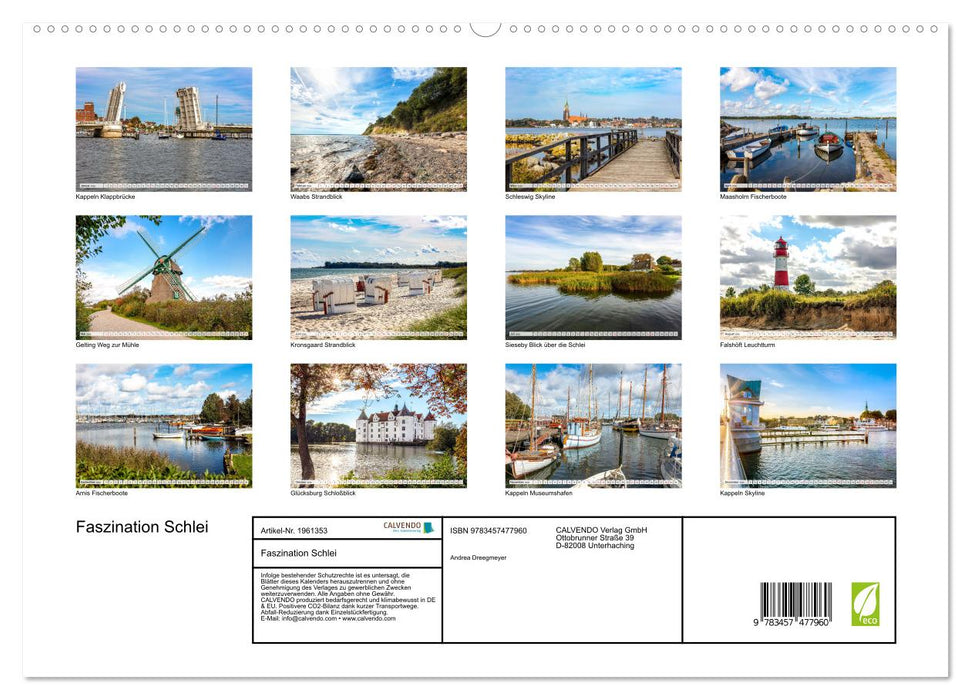 Faszination Schlei (CALVENDO Premium Wandkalender 2026)