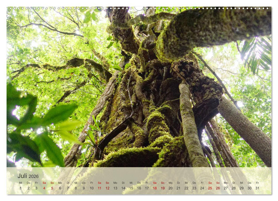 Bekanntes und Unbekanntes Costa Rica (CALVENDO Premium Wandkalender 2026)