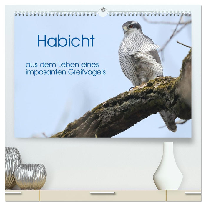 Habicht - aus dem Leben eines imposanten Greifvogels (CALVENDO Premium Wandkalender 2026)
