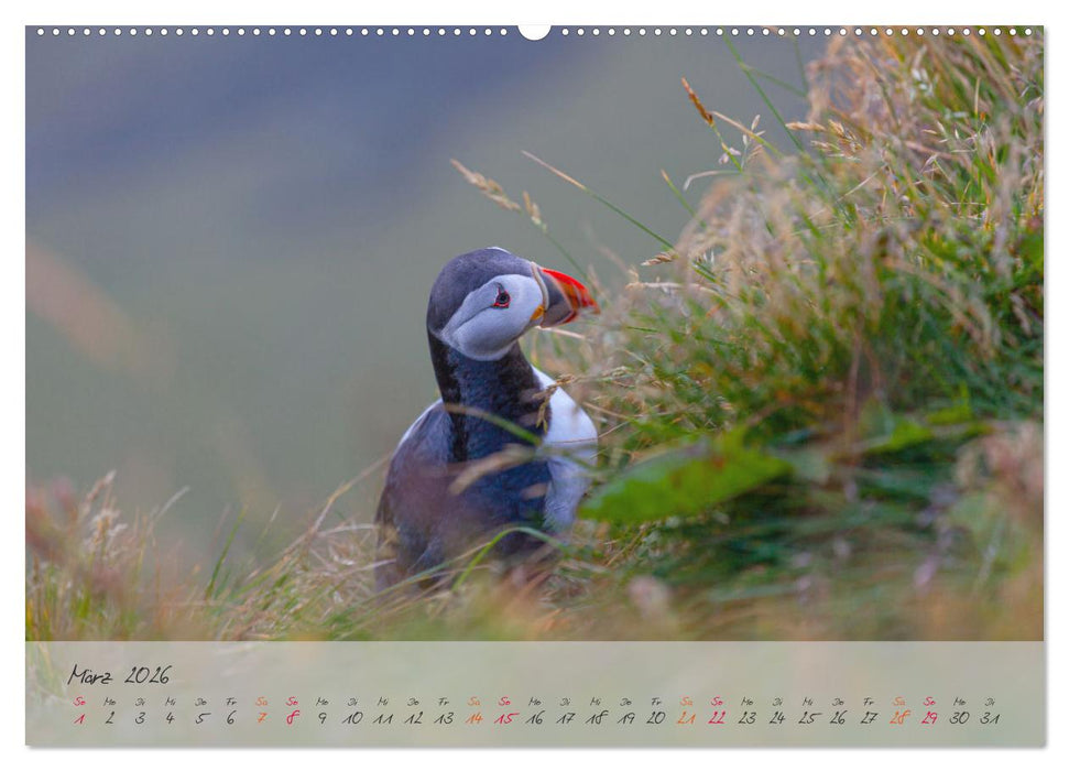Naturwunder in Island (CALVENDO Premium Wandkalender 2026)