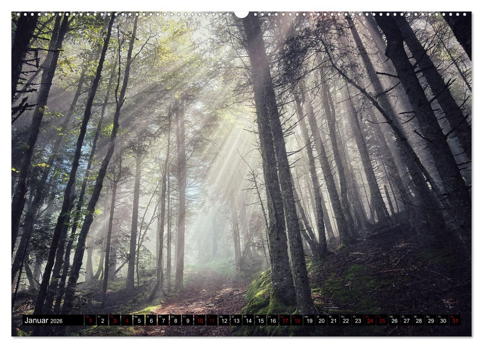 GR 10 Fernwanderweg durch die französischen Pyrenäen (CALVENDO Wandkalender 2026)