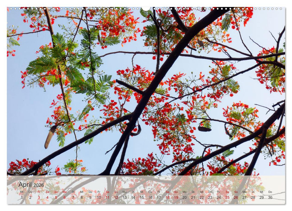 Entdecke El Salvador (CALVENDO Wandkalender 2026)