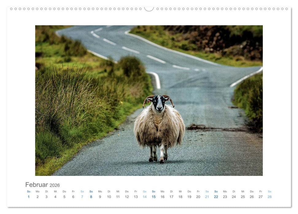 Street Moments (CALVENDO Wandkalender 2026)