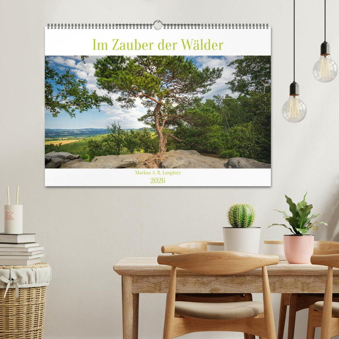 Im Zauber der Wälder (CALVENDO Wandkalender 2026)