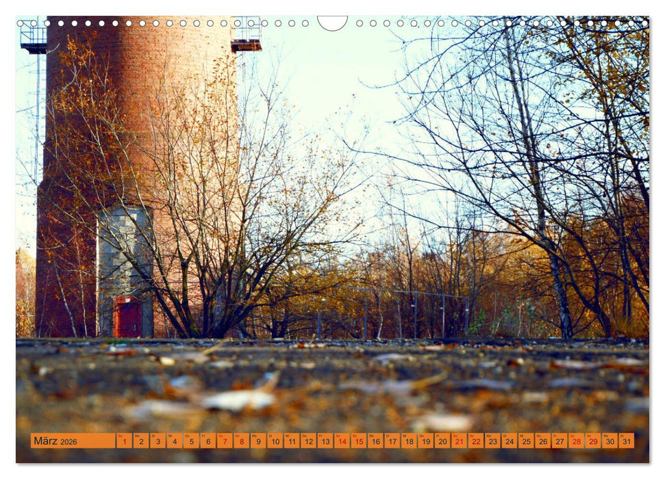 Stolberg mit meinem Blick (CALVENDO Wandkalender 2026)