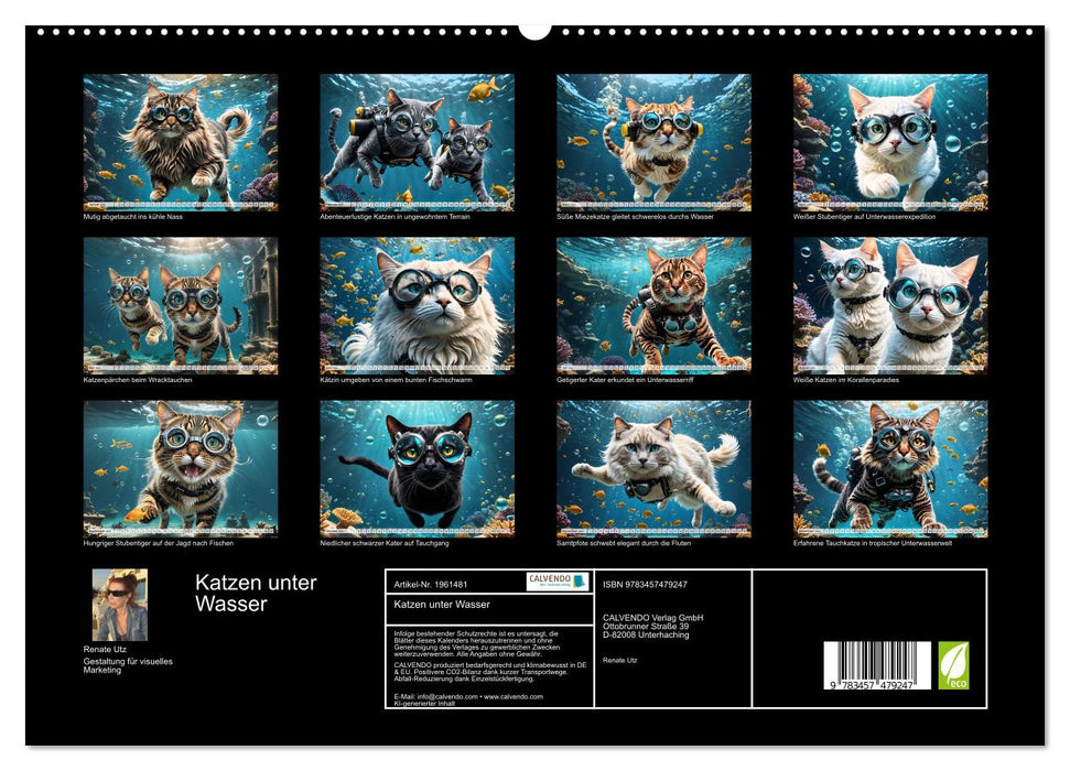 Katzen unter Wasser (CALVENDO Premium Wandkalender 2026)