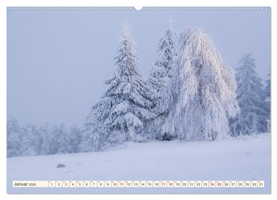 Im Zauber der Wälder (CALVENDO Premium Wandkalender 2026)
