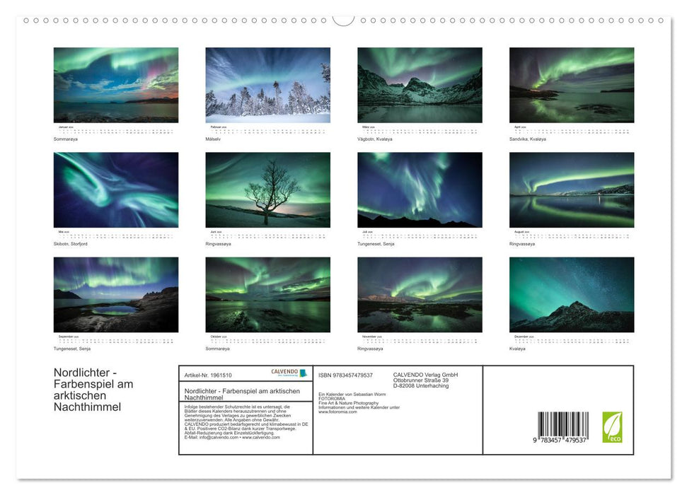 Nordlichter - Farbenspiel am arktischen Nachthimmel (CALVENDO Premium Wandkalender 2026)