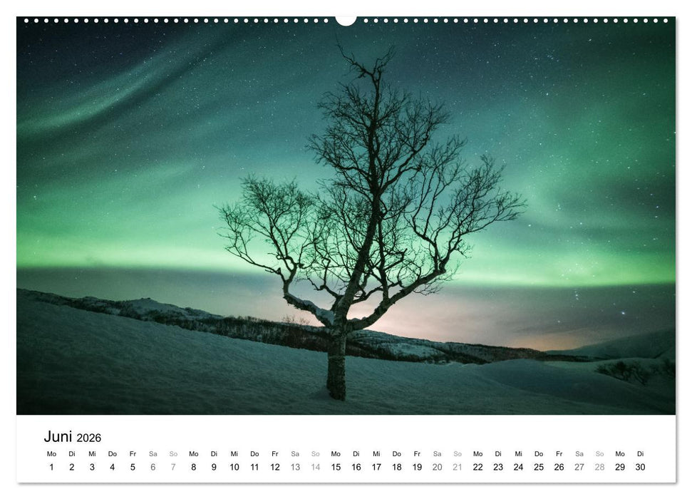 Nordlichter - Farbenspiel am arktischen Nachthimmel (CALVENDO Premium Wandkalender 2026)