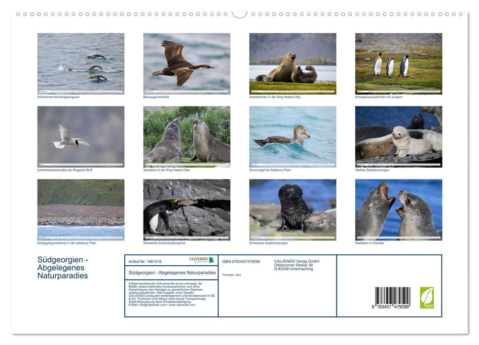 Südgeorgien - Abgelegenes Naturparadies (CALVENDO Premium Wandkalender 2026)