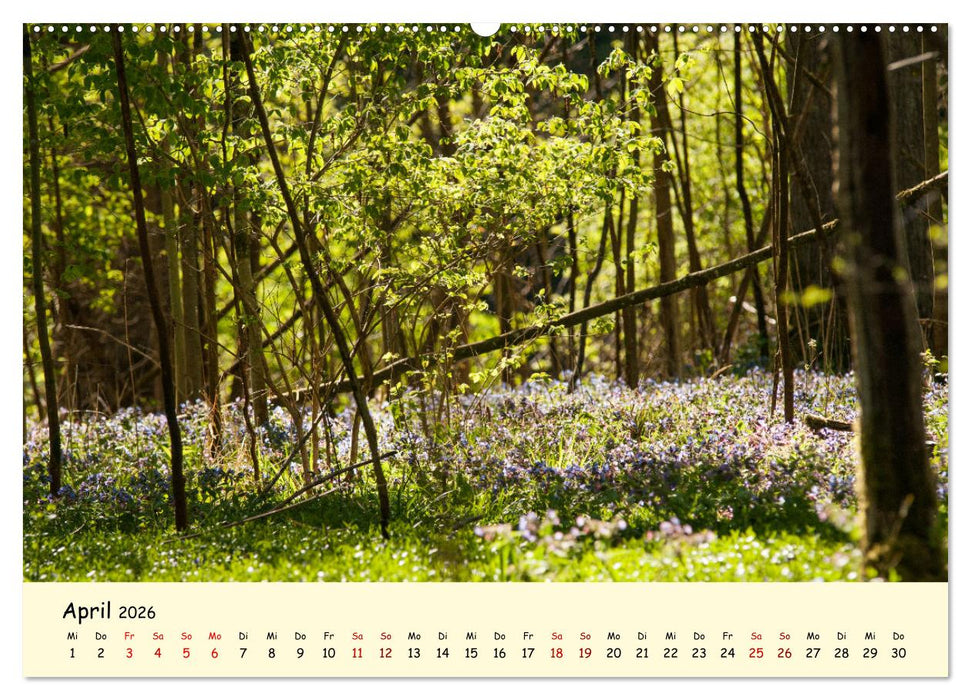 Müngstener Brücke - Landschaft rund um Solingen (CALVENDO Premium Wandkalender 2026)