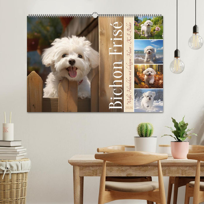 Bichon frisé, weiße Hündchen mit lockigem Haar (CALVENDO Wandkalender 2026)