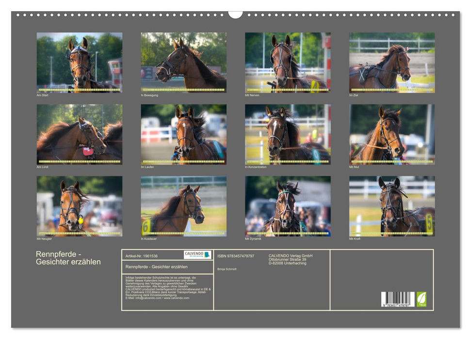 Rennpferde - Gesichter erzählen (CALVENDO Wandkalender 2026)