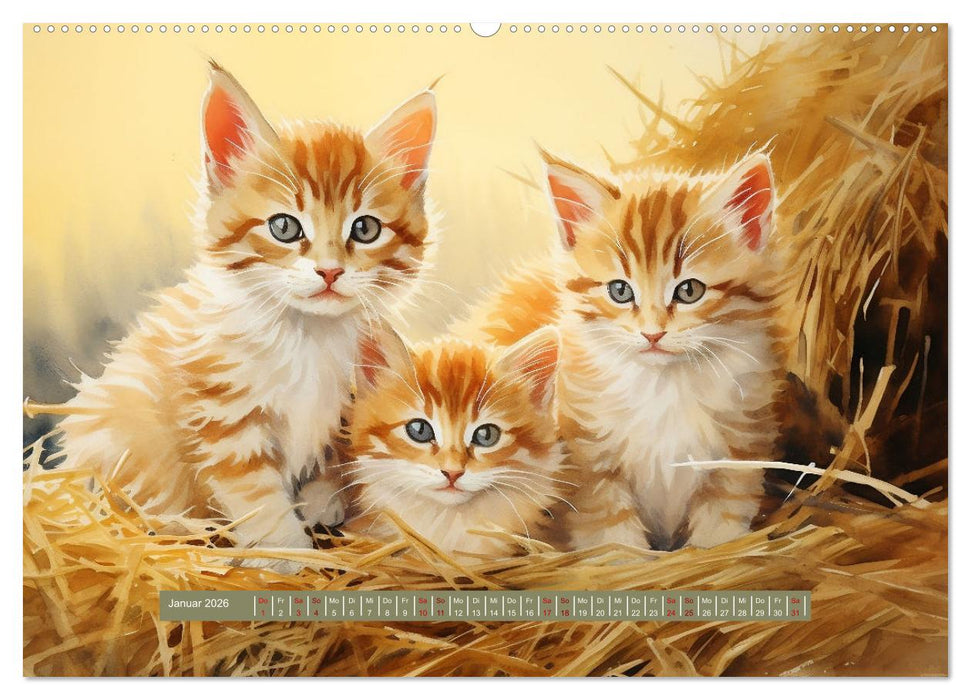 365 Tage auf dem Land (CALVENDO Wandkalender 2026)