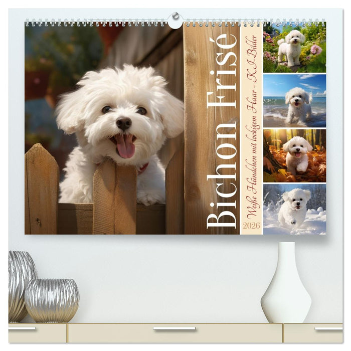 Bichon frisé, weiße Hündchen mit lockigem Haar (CALVENDO Premium Wandkalender 2026)