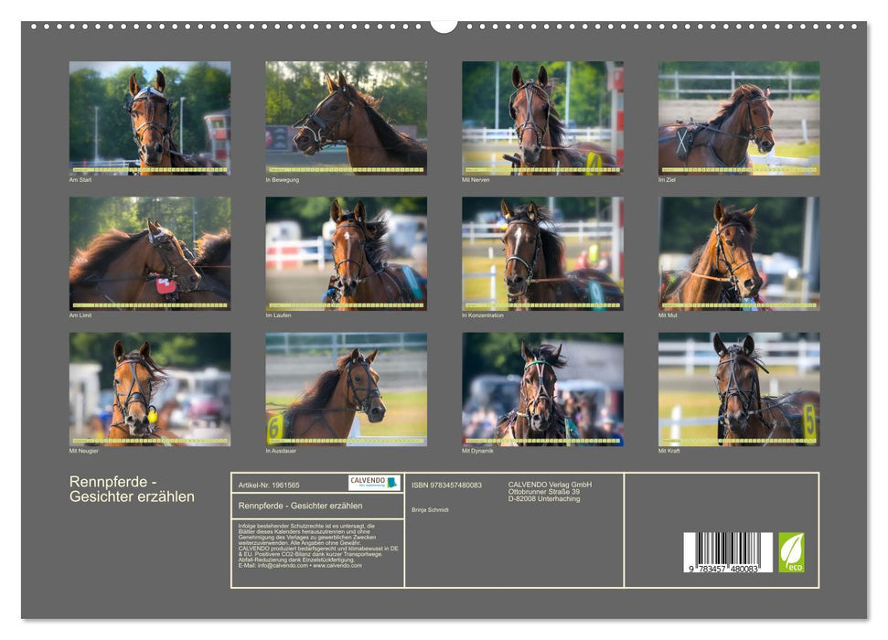 Rennpferde - Gesichter erzählen (CALVENDO Premium Wandkalender 2026)