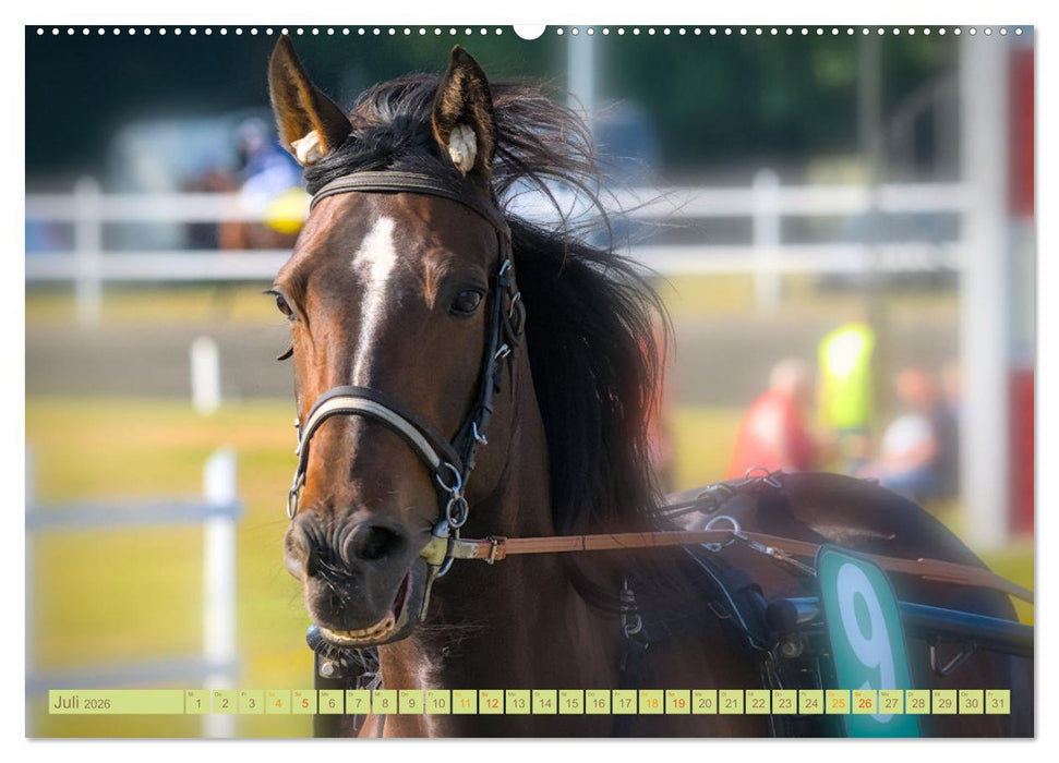 Rennpferde - Gesichter erzählen (CALVENDO Premium Wandkalender 2026)