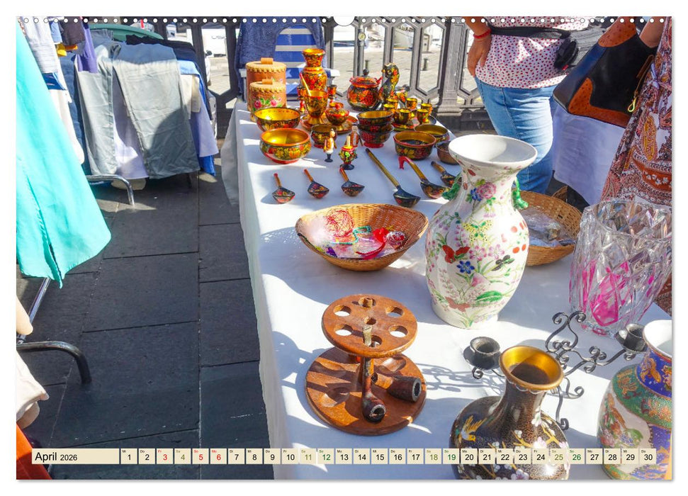 Nizza Bezaubernde Stadt (CALVENDO Wandkalender 2026)